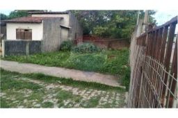 https://img.olx.com.br/thumbs256x256/81/810539888541684.jpg