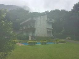 https://img.olx.com.br/thumbs256x256/81/810555166013918.jpg