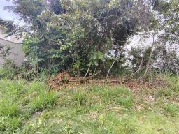 https://img.olx.com.br/thumbs256x256/81/810616192545702.jpg