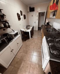 https://img.olx.com.br/thumbs256x256/81/810651188758875.jpg