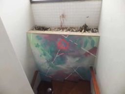 https://img.olx.com.br/thumbs256x256/81/811538409208993.jpg