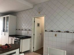 https://img.olx.com.br/thumbs256x256/81/811551169484558.jpg
