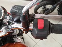 https://img.olx.com.br/thumbs256x256/81/811556049938332.jpg