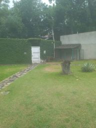 https://img.olx.com.br/thumbs256x256/81/812513166473077.jpg