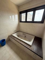 https://img.olx.com.br/thumbs256x256/81/812520047305167.jpg