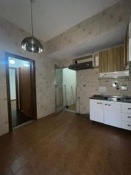 https://img.olx.com.br/thumbs256x256/81/812538407265150.jpg