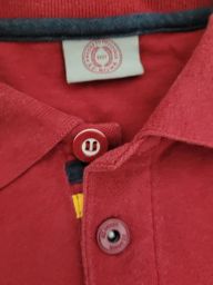 https://img.olx.com.br/thumbs256x256/81/813462555891637.jpg