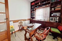 https://img.olx.com.br/thumbs256x256/81/813564407829611.jpg