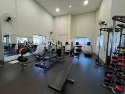 https://img.olx.com.br/thumbs256x256/81/813572766754598.jpg