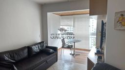 https://img.olx.com.br/thumbs256x256/81/813576046572152.jpg