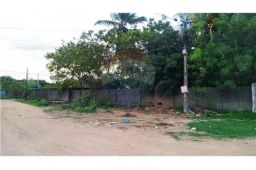 https://img.olx.com.br/thumbs256x256/81/814501522188258.jpg