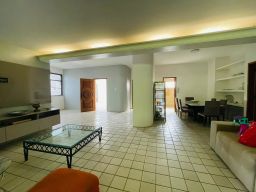 https://img.olx.com.br/thumbs256x256/81/814536273356849.jpg
