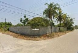 https://img.olx.com.br/thumbs256x256/81/814558396512238.jpg