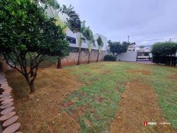 https://img.olx.com.br/thumbs256x256/81/815570282406154.jpg
