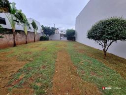 https://img.olx.com.br/thumbs256x256/81/816536162676380.jpg