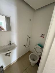 https://img.olx.com.br/thumbs256x256/81/816570154309346.jpg