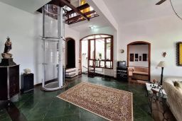https://img.olx.com.br/thumbs256x256/81/817567404529789.jpg
