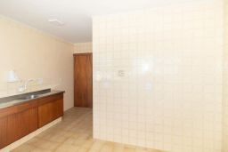 https://img.olx.com.br/thumbs256x256/81/818556381829502.jpg