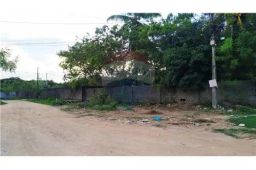https://img.olx.com.br/thumbs256x256/81/818572763995265.jpg
