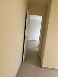 https://img.olx.com.br/thumbs256x256/81/818574761041036.jpg