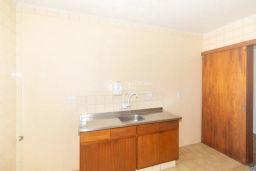 https://img.olx.com.br/thumbs256x256/81/818575269726226.jpg