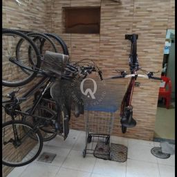 https://img.olx.com.br/thumbs256x256/81/818590768322356.jpg