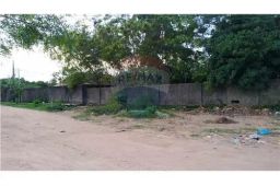 https://img.olx.com.br/thumbs256x256/81/819539283334161.jpg