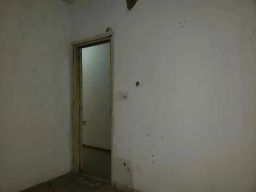 https://img.olx.com.br/thumbs256x256/81/819591275263474.jpg