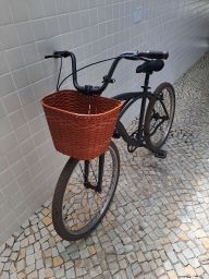 https://img.olx.com.br/thumbs256x256/82/820501628186091.jpg