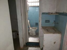 https://img.olx.com.br/thumbs256x256/82/820552515738052.jpg