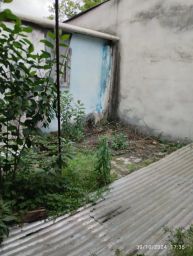 https://img.olx.com.br/thumbs256x256/82/820609784935487.jpg