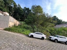 https://img.olx.com.br/thumbs256x256/82/821571405063643.jpg