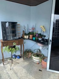 https://img.olx.com.br/thumbs256x256/82/822540283495314.jpg
