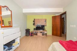 https://img.olx.com.br/thumbs256x256/82/823501404059728.jpg