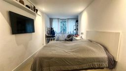 https://img.olx.com.br/thumbs256x256/82/823510762751579.jpg