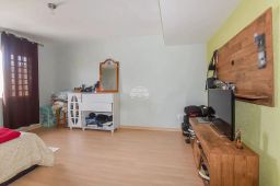 https://img.olx.com.br/thumbs256x256/82/825588045038179.jpg