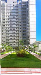 https://img.olx.com.br/thumbs256x256/82/825598407556646.jpg