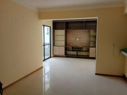https://img.olx.com.br/thumbs256x256/82/825628310221816.jpg