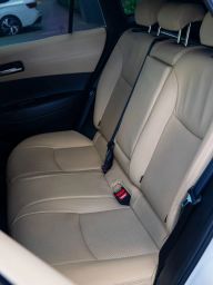 https://img.olx.com.br/thumbs256x256/82/826554644553211.jpg