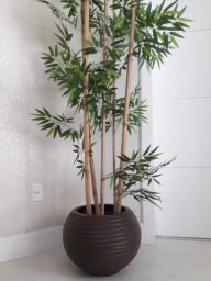 https://img.olx.com.br/thumbs256x256/82/827528602255727.jpg