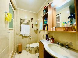 https://img.olx.com.br/thumbs256x256/82/827531048556979.jpg