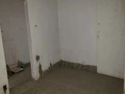 https://img.olx.com.br/thumbs256x256/82/828575513730409.jpg