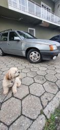 https://img.olx.com.br/thumbs256x256/82/829513750832272.jpg