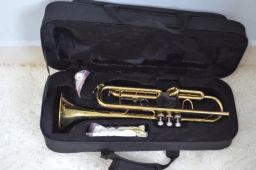https://img.olx.com.br/thumbs256x256/82/829596632156139.jpg