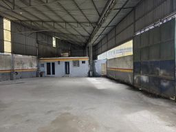 https://img.olx.com.br/thumbs256x256/83/830530523856083.jpg