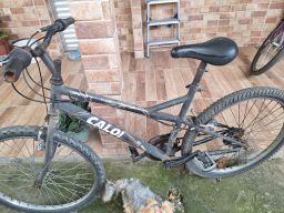 https://img.olx.com.br/thumbs256x256/83/830598524542569.jpg