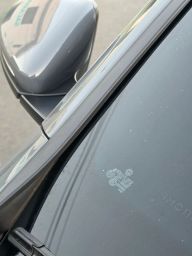 https://img.olx.com.br/thumbs256x256/83/830641666981187.jpg