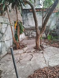 https://img.olx.com.br/thumbs256x256/83/831517281017836.jpg