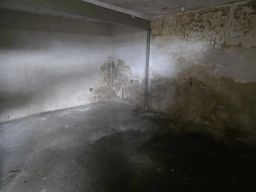 https://img.olx.com.br/thumbs256x256/83/831534644288140.jpg