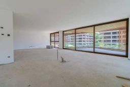 https://img.olx.com.br/thumbs256x256/83/831564643446299.jpg